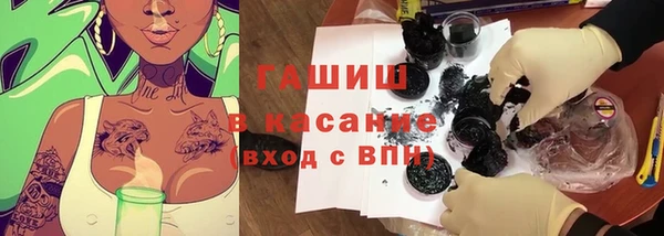 прущие грибы Балахна
