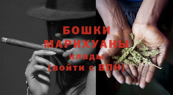 хмурый Арсеньев