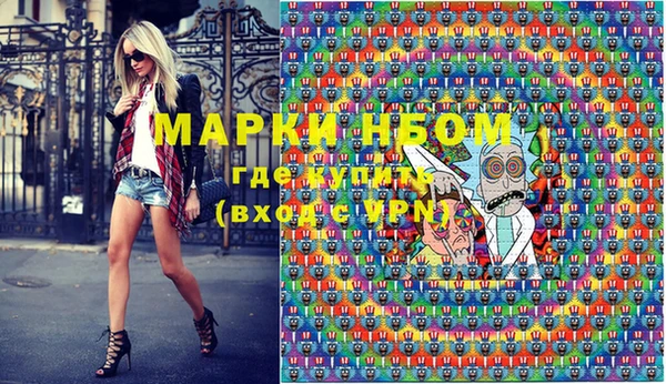 хмурый Арсеньев