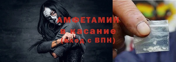 прущие грибы Балахна