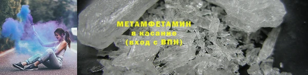 прущие грибы Балахна
