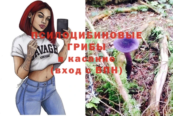 спайс Баксан