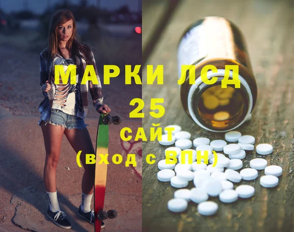 хмурый Арсеньев