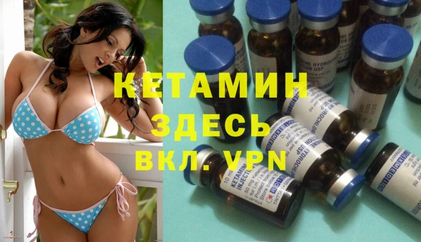 хмурый Арсеньев