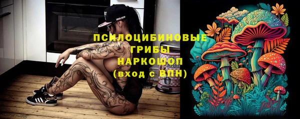 ГАЛЛЮЦИНОГЕННЫЕ ГРИБЫ Липки