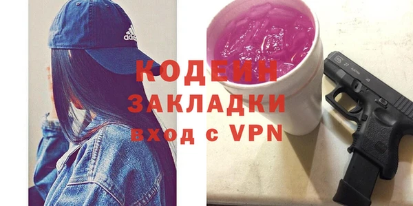 хмурый Арсеньев