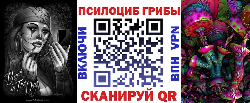 Галлюциногенные грибы Cubensis Новосиль